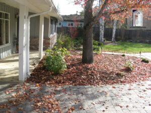 Orinda-HardscapeII-Outdoor-Remodels-Feature